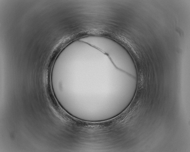 X0000112060686200908041011