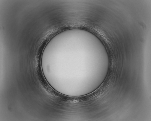 X0000112060687200908041011