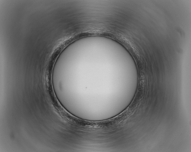 X0000112060688200908041011