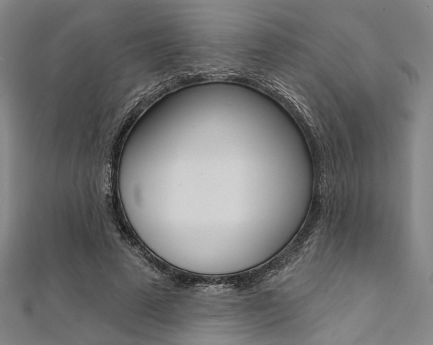 X0000112060689200908041011