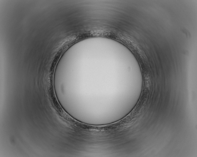 X0000112060690200908041011