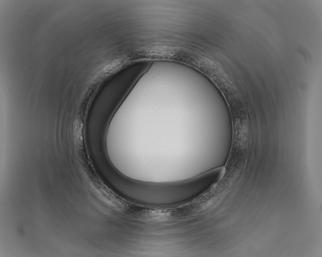 X0000112060692200908041011