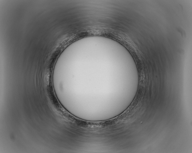 X0000112060694200908041011