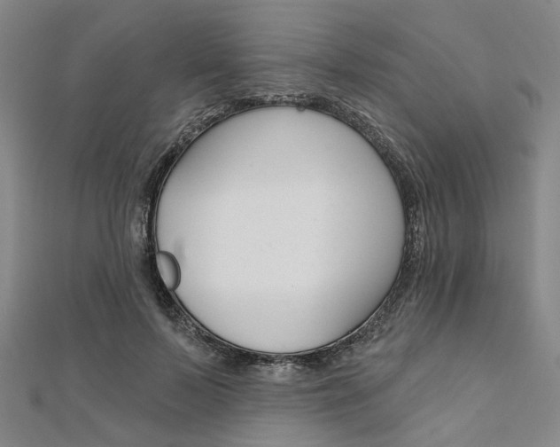 X0000112060695200908041011