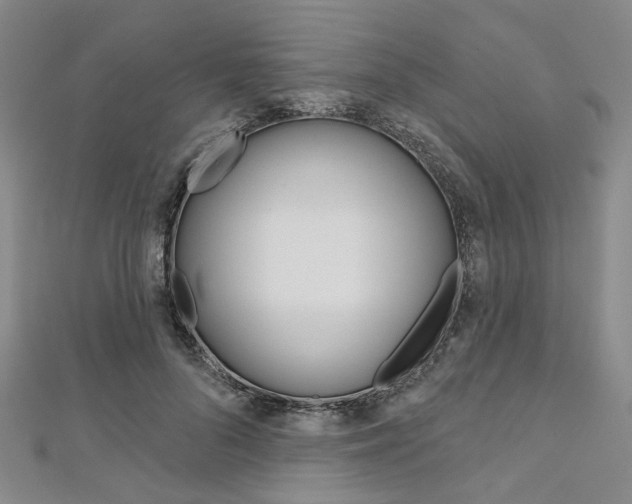 X0000112060696200908041011
