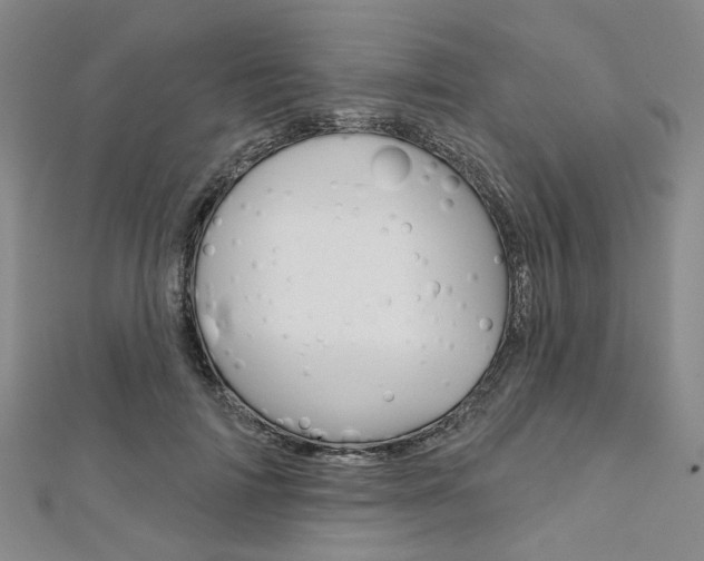 X0000112060698200908041011