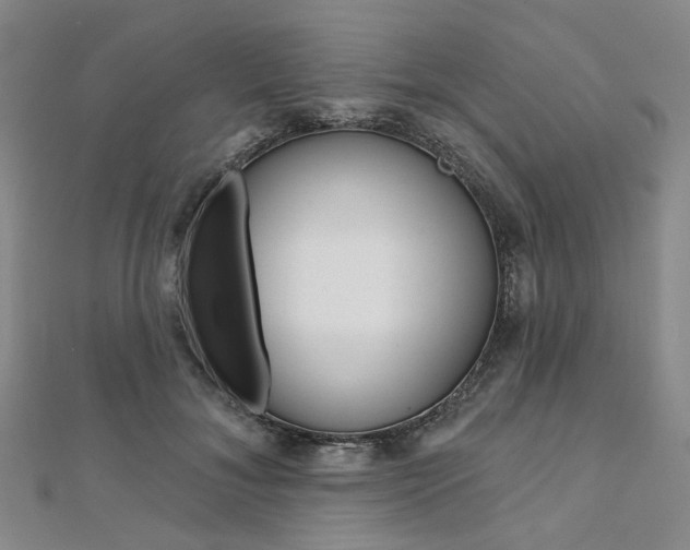 X0000112060700200908041011