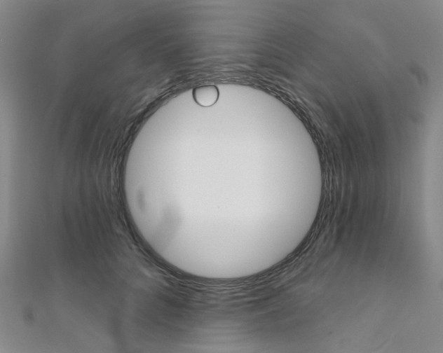 X0000112060704200908041011