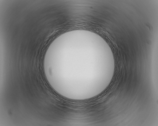 X0000112060705200908041011