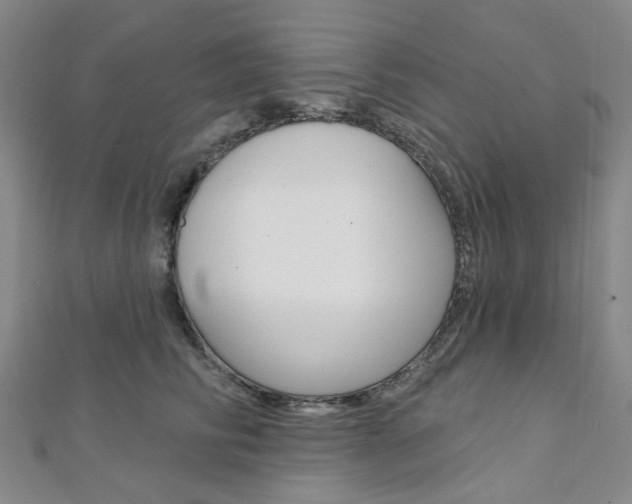 X0000112060710200908041011