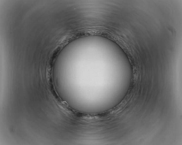 X0000112060712200908041011