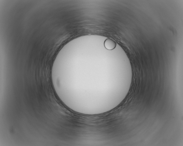 X0000112060716200908041011