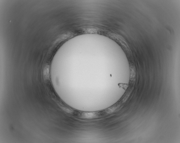 X0000112060717200908041011