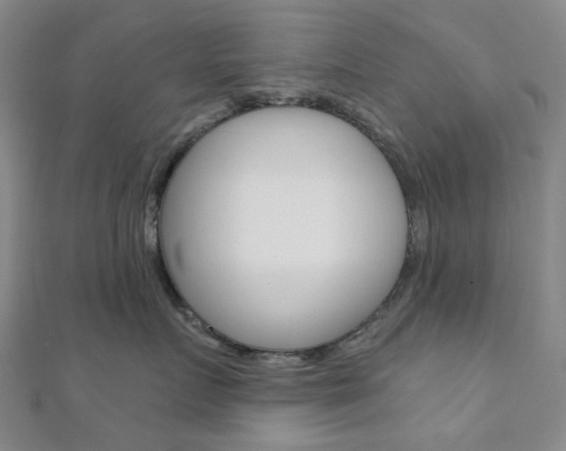 X0000112060719200908041011