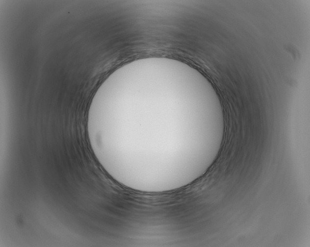 X0000112060720200908041011