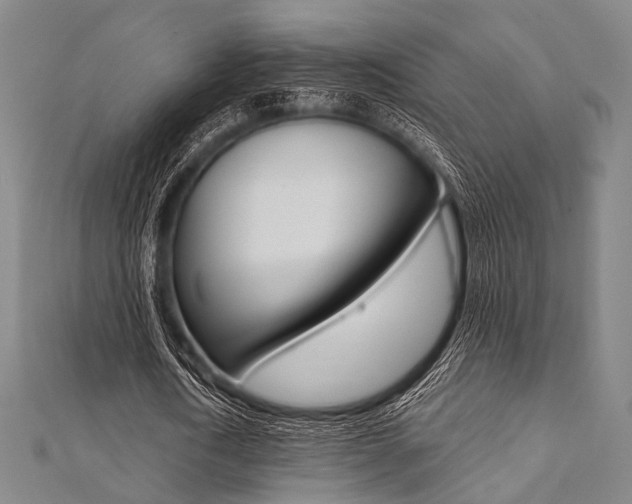 X0000112060722200908041010