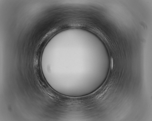 X0000112060723200908041010