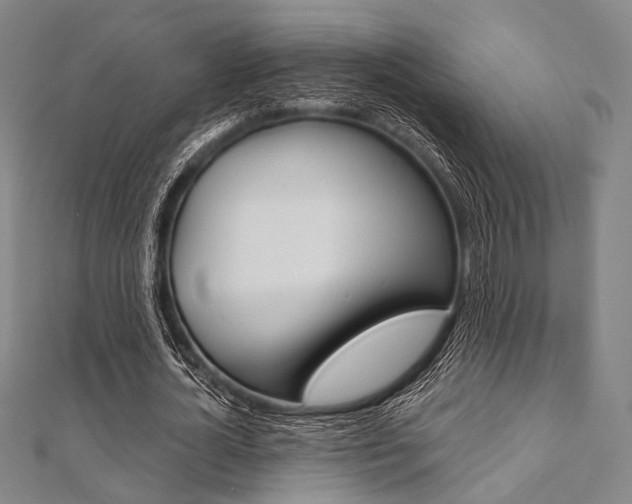 X0000112060724200908041010