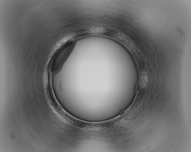 X0000112060726200908041010