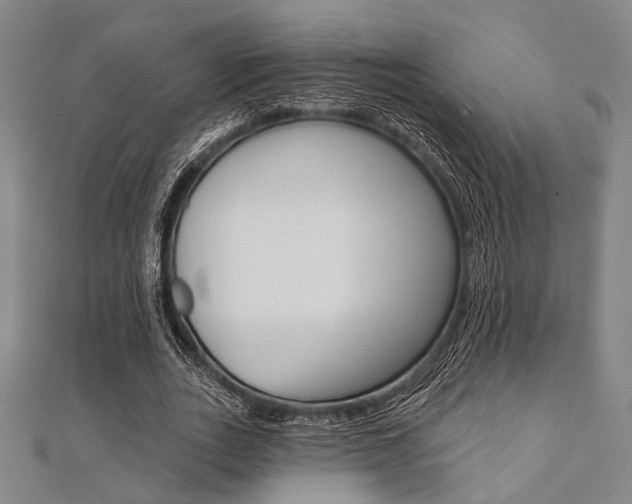 X0000112060727200908041010