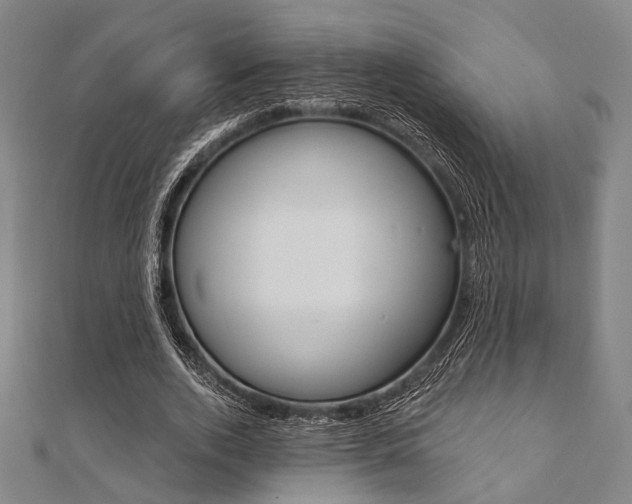 X0000112060728200908041010