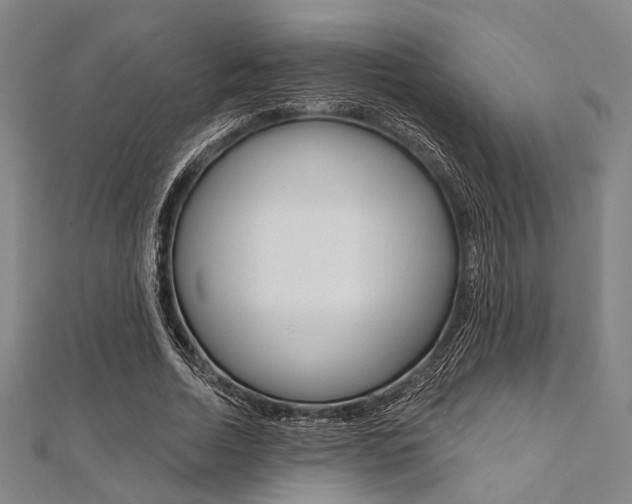 X0000112060730200908041010