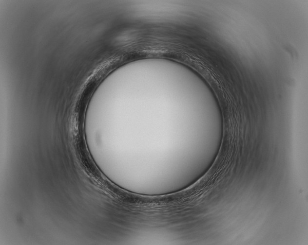 X0000112060731200908041010