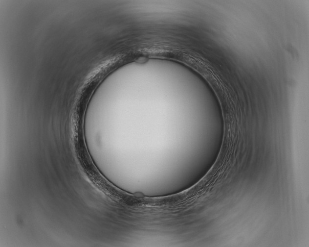 X0000112060732200908041010