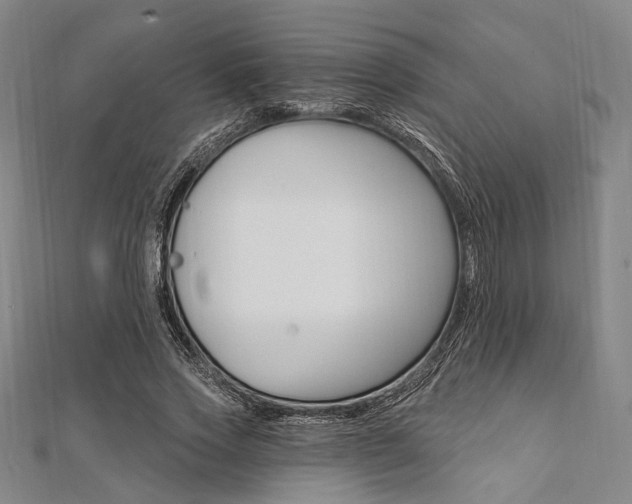 X0000112060733200908041010