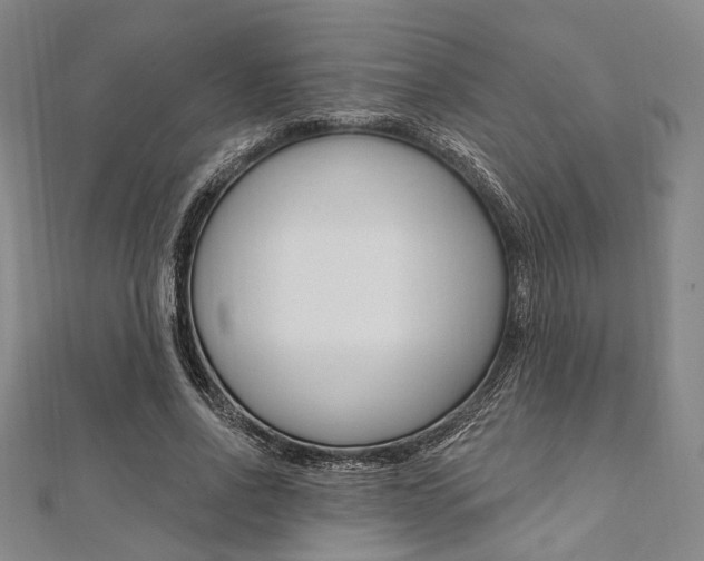X0000112060734200908041010