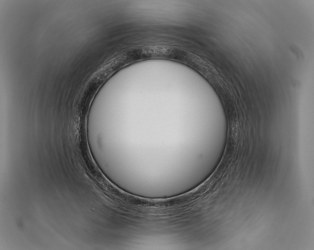 X0000112060735200908041010