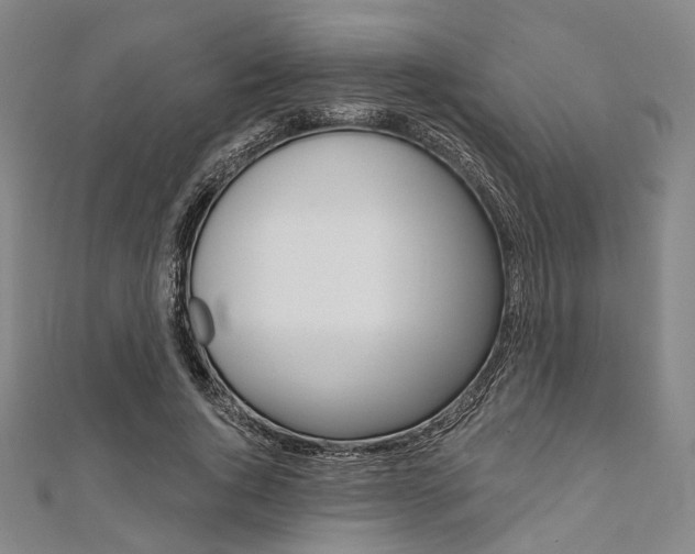 X0000112060736200908041010