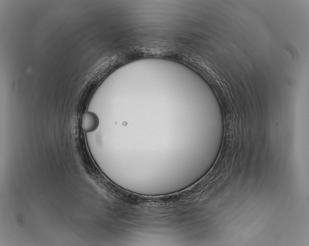 X0000112060738200908041010