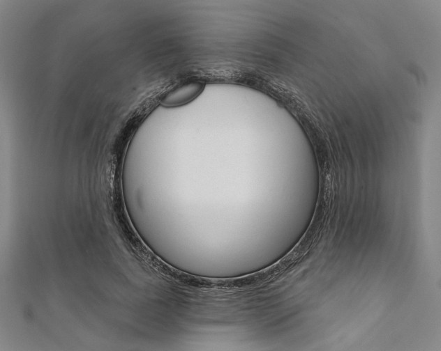 X0000112060739200908041010