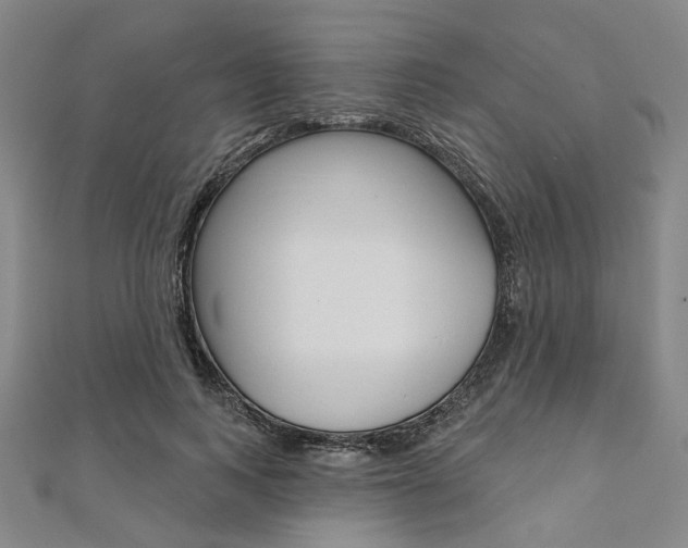 X0000112060743200908041010