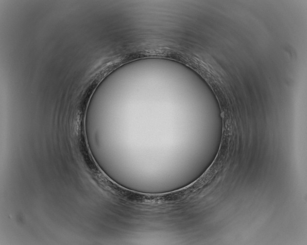 X0000112060744200908041010