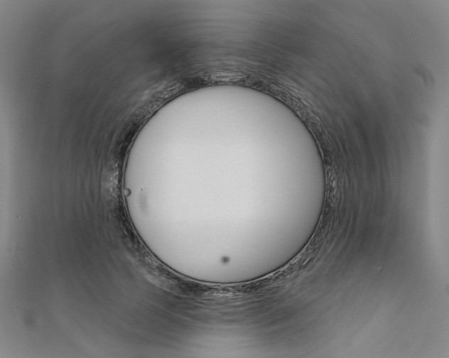 X0000112060745200908041010