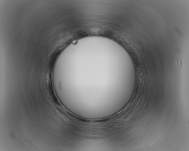 X0000112060746200908041010