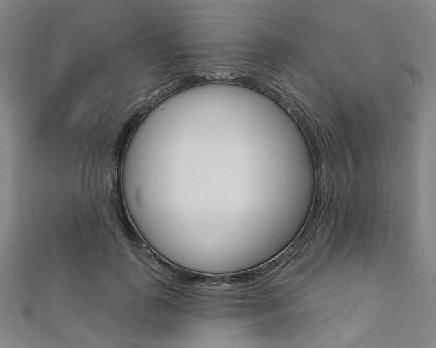 X0000112060747200908041010