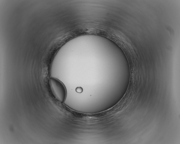 X0000112060748200908041010