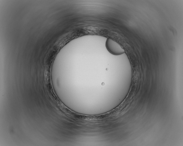 X0000112060749200908041010