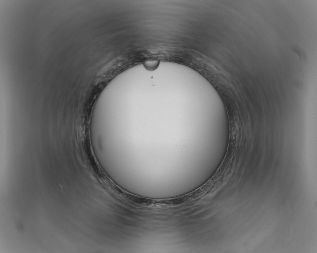 X0000112060751200908041010