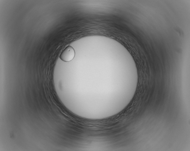 X0000112060752200908041010