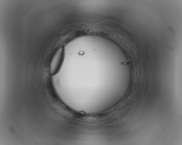 X0000112060756200908041011