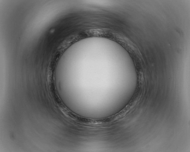 X0000112060760200908041011