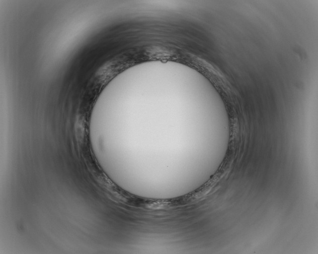 X0000112060761200908041011