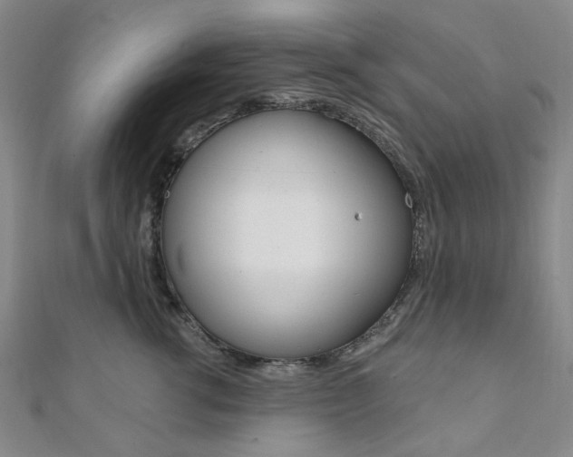 X0000112060762200908041011
