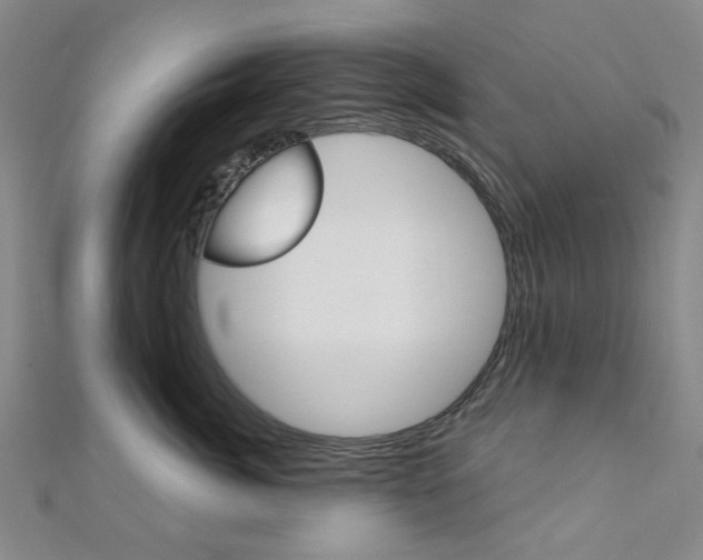 X0000112060764200908041011