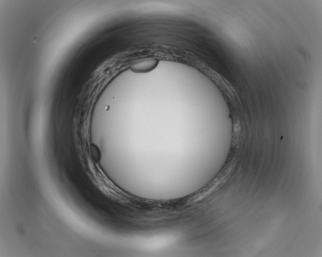 X0000112060765200908041011