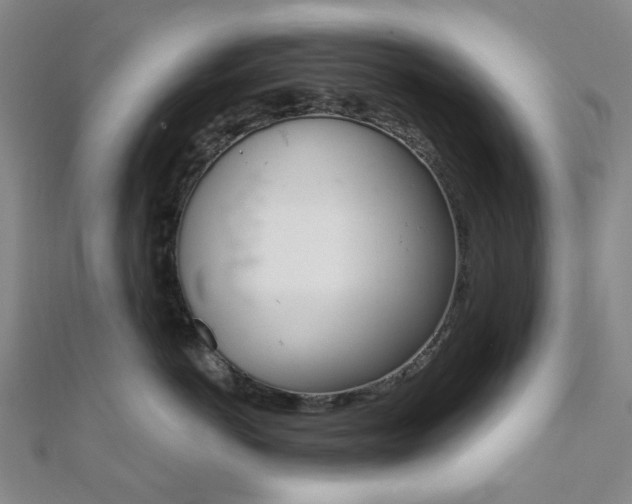 X0000112060766200908041011